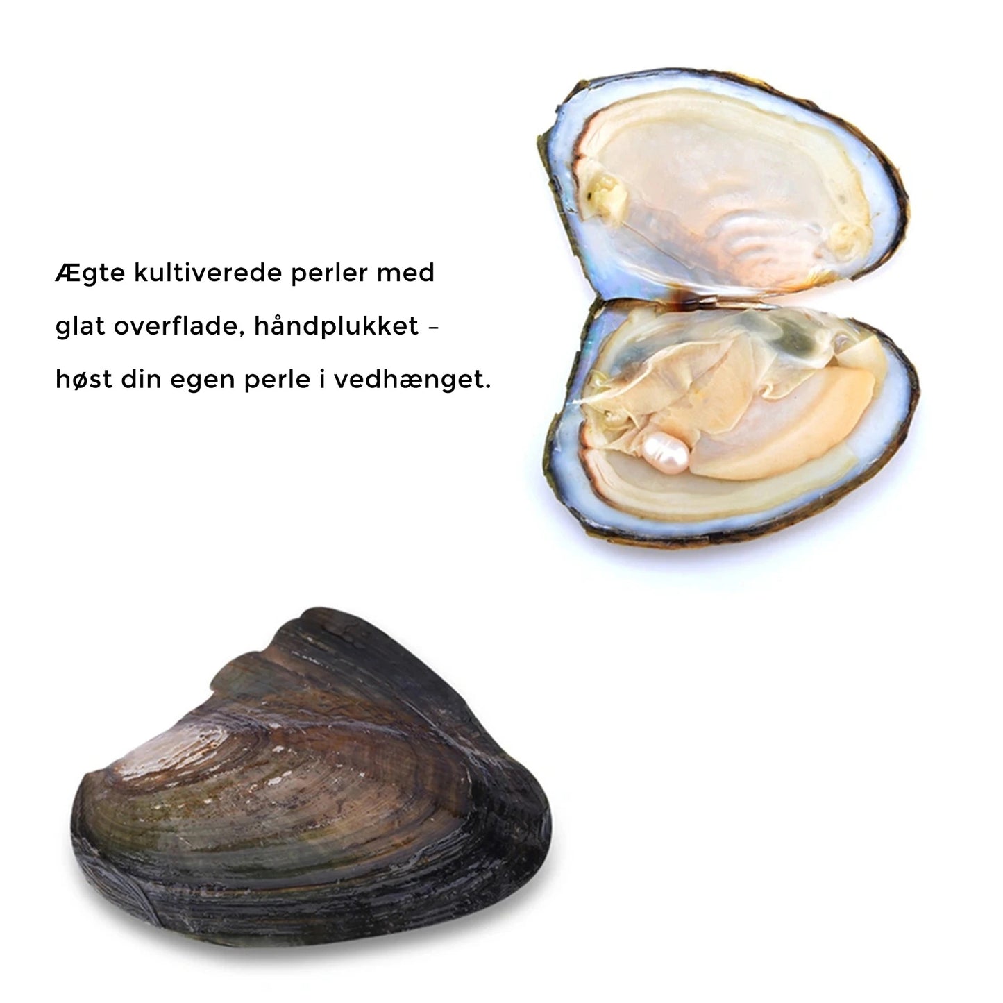 Ønske-perlehalskæde